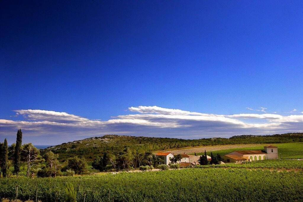 Entre Mer Et Garrigue Saint-Pierre-la-Mer  Екстериор снимка