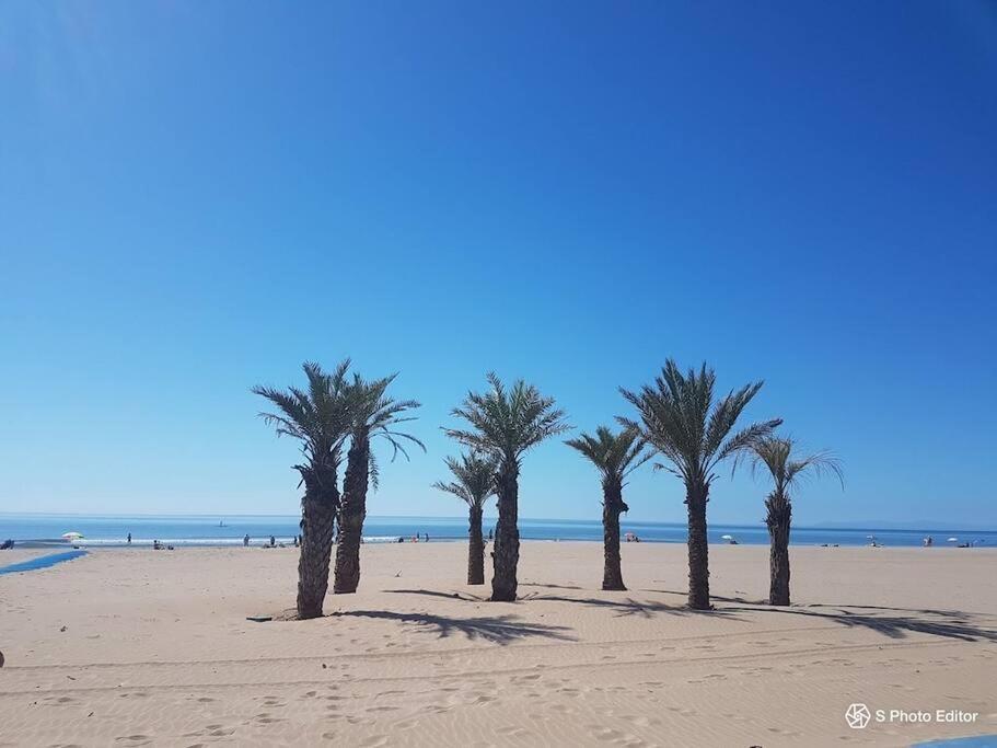 Entre Mer Et Garrigue Saint-Pierre-la-Mer  Екстериор снимка