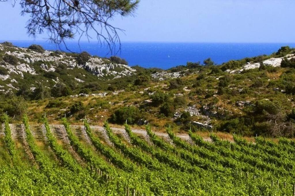 Entre Mer Et Garrigue Saint-Pierre-la-Mer  Екстериор снимка