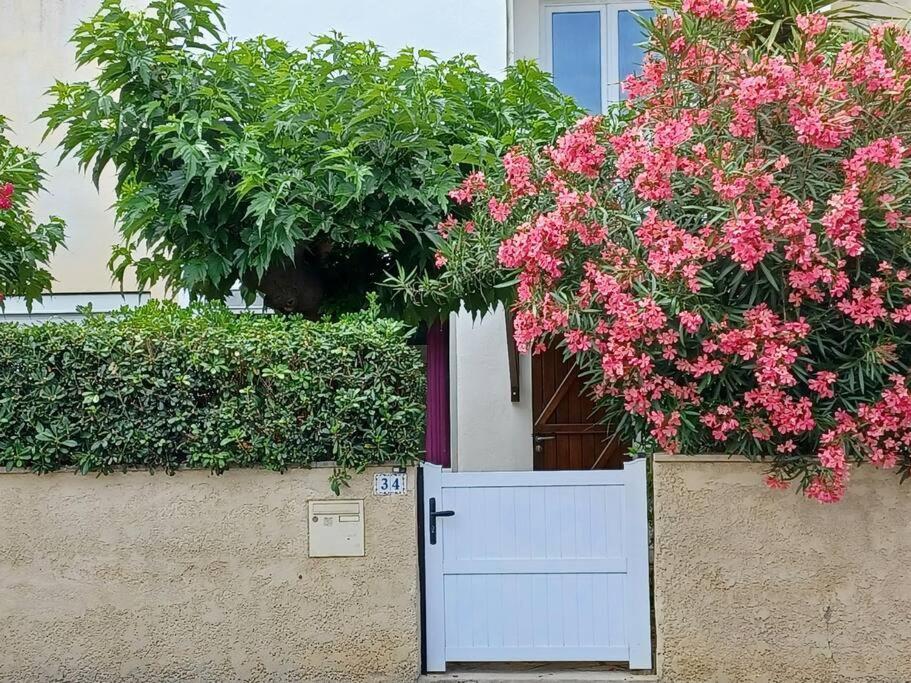 Entre Mer Et Garrigue Saint-Pierre-la-Mer  Екстериор снимка